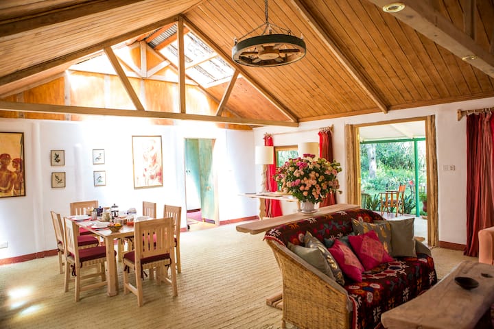 The Studio Olerai